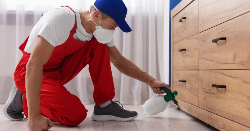 capa dedetizacao em Blumenau